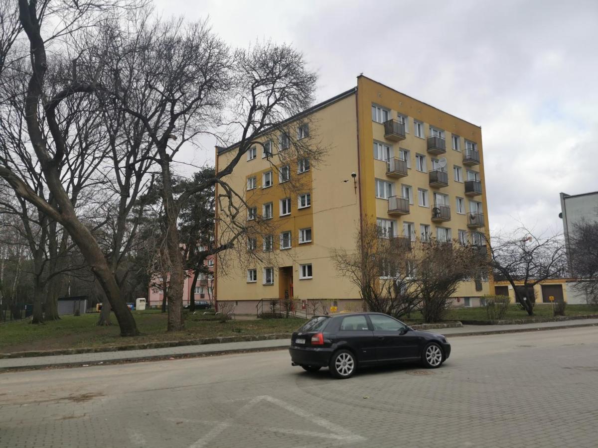 Mieszkanie Brzezno Przy Plazy Gdańsk Kültér fotó